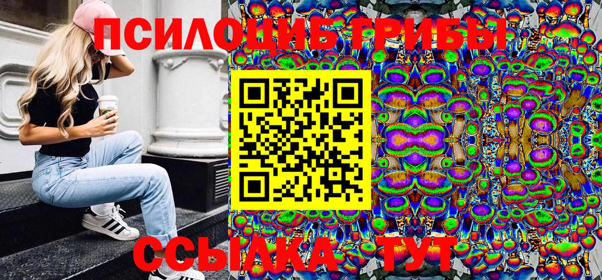 Галлюциногенные грибы Magic Shrooms Вологда